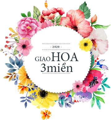 Giao Hoa Ba Miền